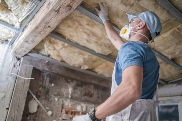 Best Insulation Installation Services in Gibson City, IL